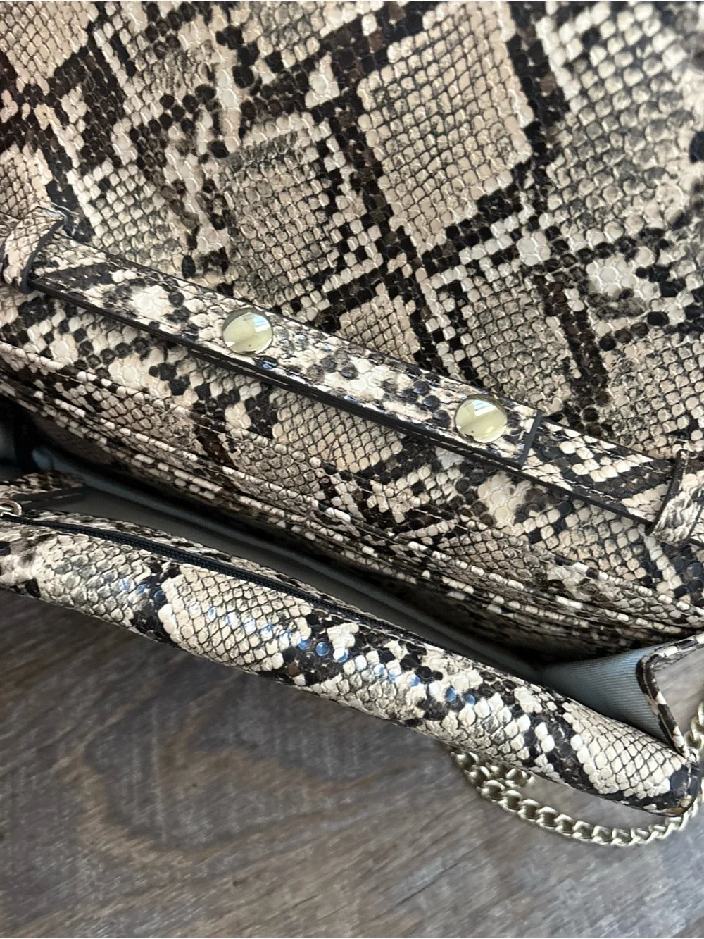 Gianni Bini compact snake